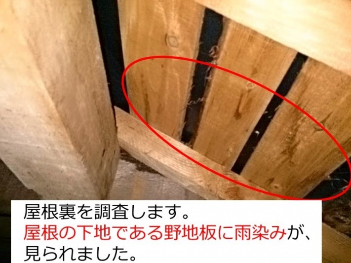 屋根裏の雨漏り調査