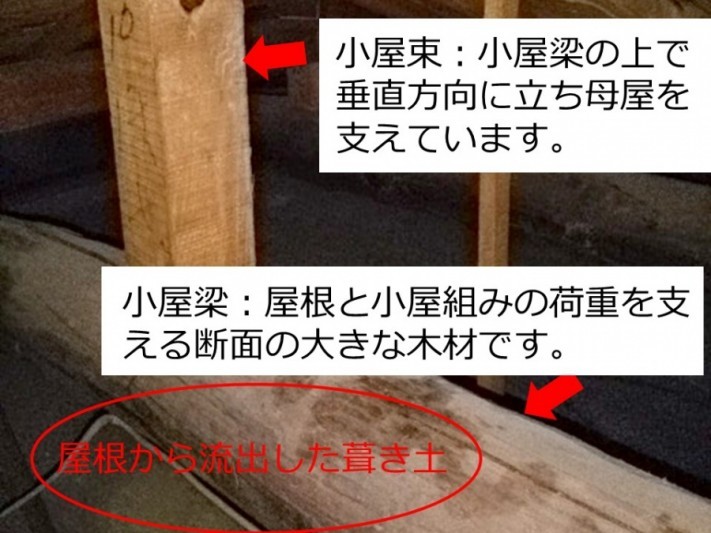屋根裏の雨漏り調査