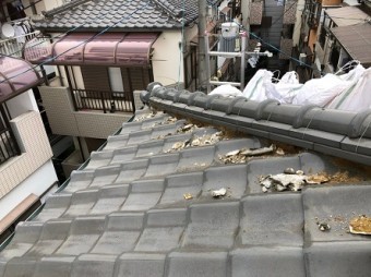 既存漆喰捲り