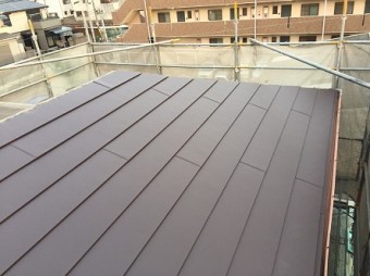 ブラウンガルテクトフッ素