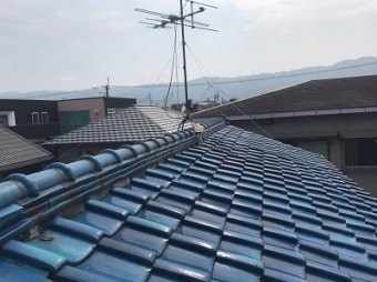 青緑瓦切妻棟