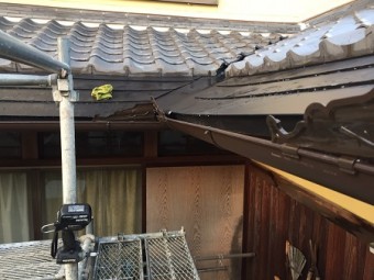 茶色雨樋