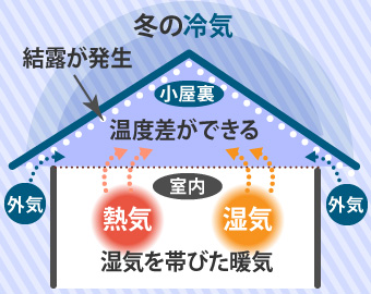 冬は室内と小屋裏の温度差によって結露が発生