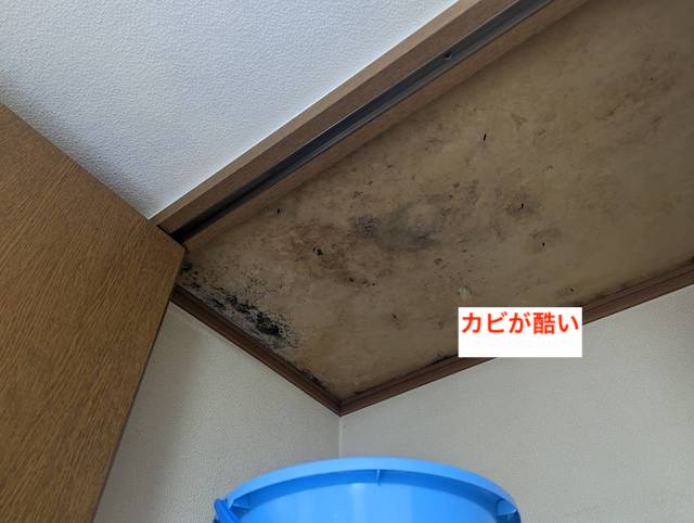 西京区で瓦屋根から雨漏りが発生、最小限の工事で雨漏りが止まる提案