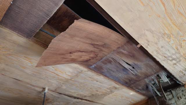 「長岡京市　築40年木造の建物の和室で雨漏りがしている現場調査」