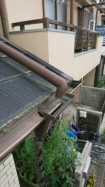 雨樋の状態確認