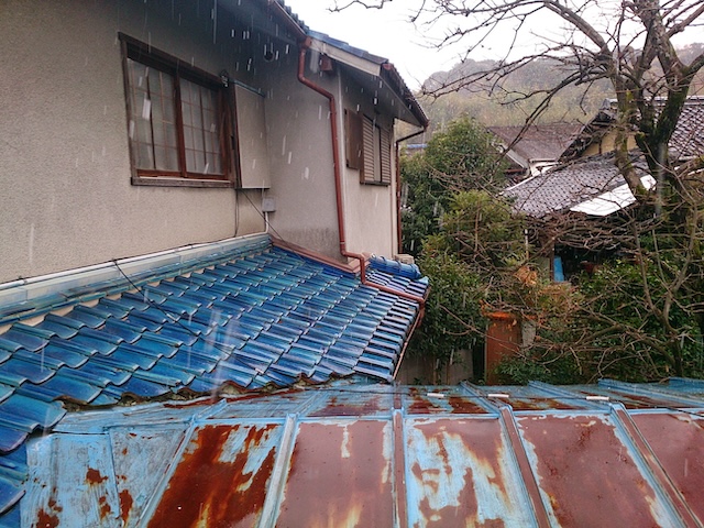 宇治市にて撮影した瓦棒屋根の全景。塗膜が完全に剥がれ、一面が深刻な赤錆に覆われている。