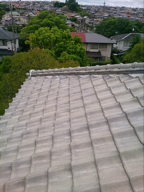 【城陽市】屋根に草と瓦の破片？凍害の危機を10万円で防ぐ部分補修