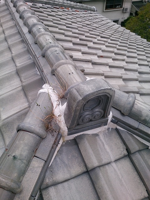 棟瓦の漆喰から生えた雑草｜京都府城陽市｜雨漏り前兆