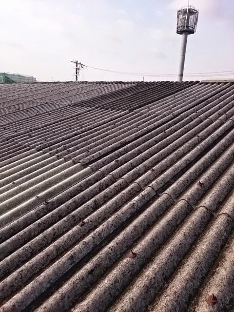 工場屋根の波型スレート（大波）の経年劣化と変色状況【屋根点検