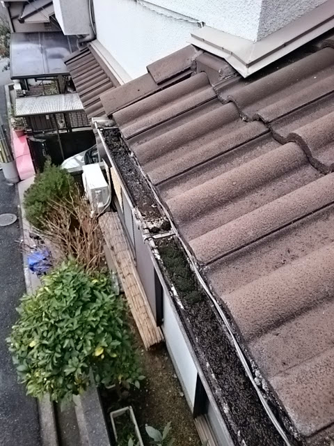 京都市右京区で雨樋に巨大な苔！掃除ではなく「交換」をご提案した理由【現地調査】