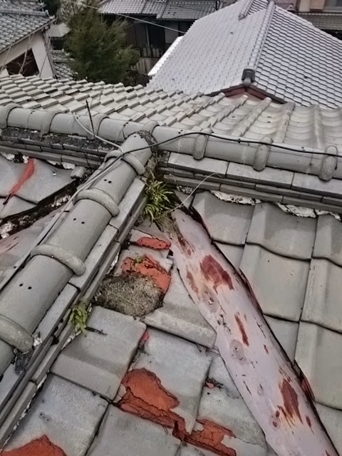 【京都市伏見区の屋根点検】瓦から草が！その正体は「塗装トタン谷」の劣化サインでした