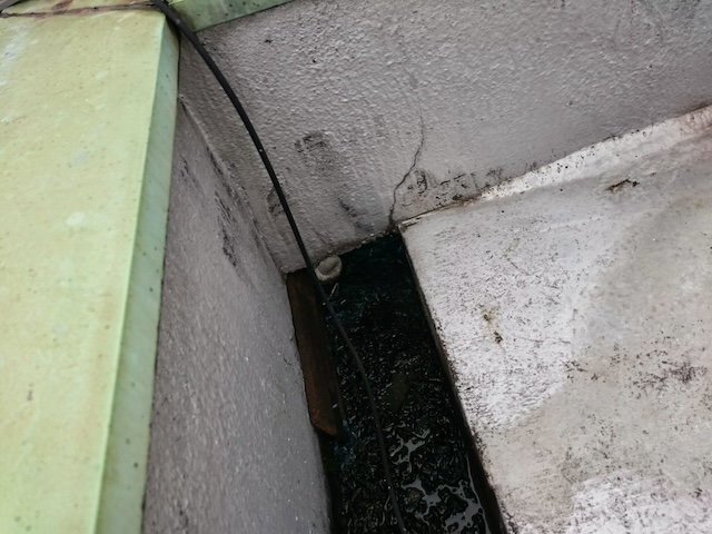 陸屋根の排水ドレン周りに溜まった泥と苔の状況