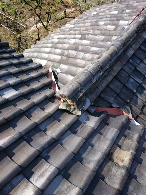 台風被害のリスクが高い棟瓦の蛇行とズレ・屋根修理前の現状