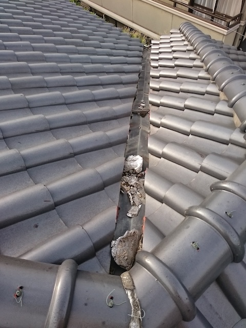 谷樋の詰まりを放置した結果生えた雑草：オーバーフロー（逆流）の危険性