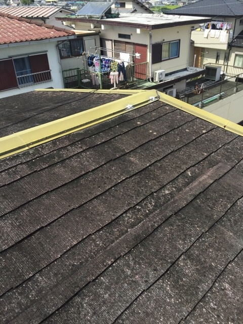 カバー工法提案用の屋根全体写真・周囲の住宅環境