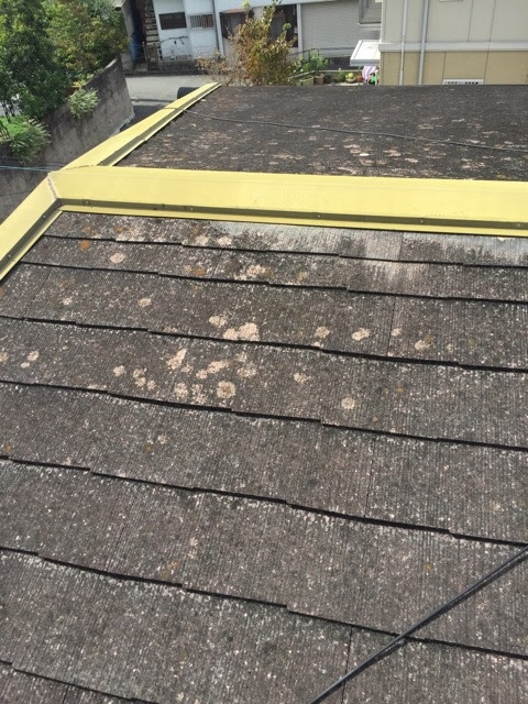 伏見区桃山で屋根塗装はNG？「カバー工法」が正解な理由と費用