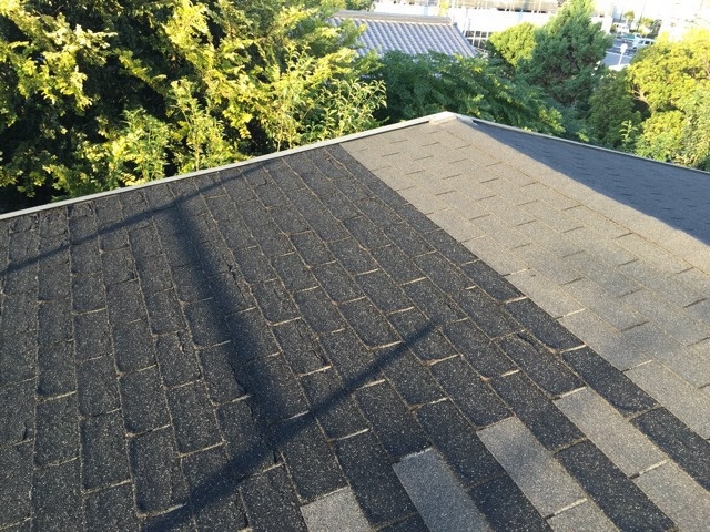 京田辺市でのアスファルトシングル屋根の浮きやめくれによる雨漏りリスク