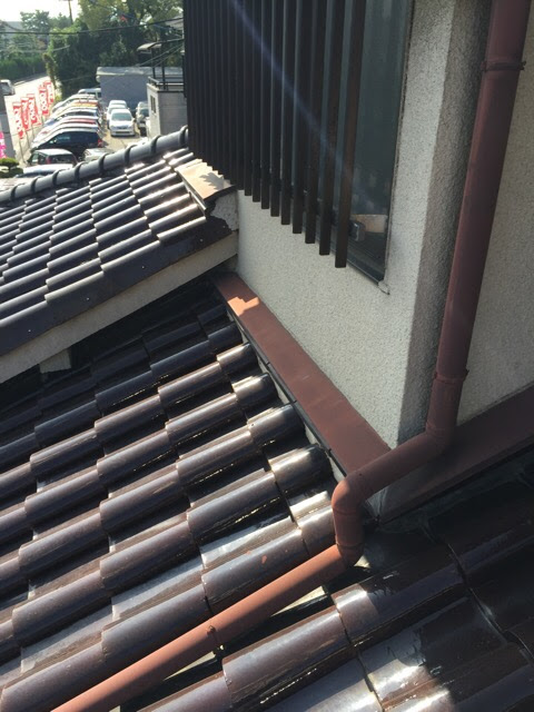 宇治市の現場での屋根全体と雨押え部分の調査