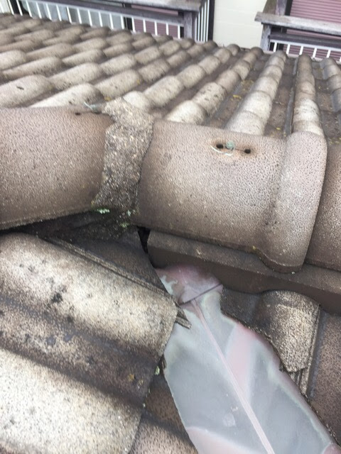 表面の塗装（スラリー層）が劣化し、コケやカビが発生しているモニエル瓦の接写。