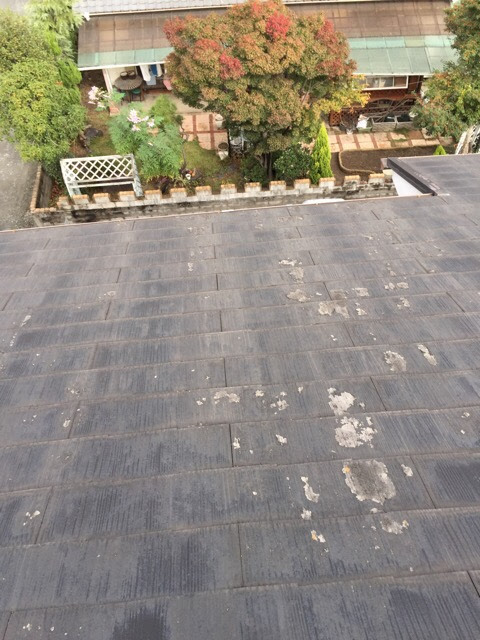 【京都市左京区】色褪せたカラーベスト屋根はカバー工法で解決！波板の同時交換で費用削減