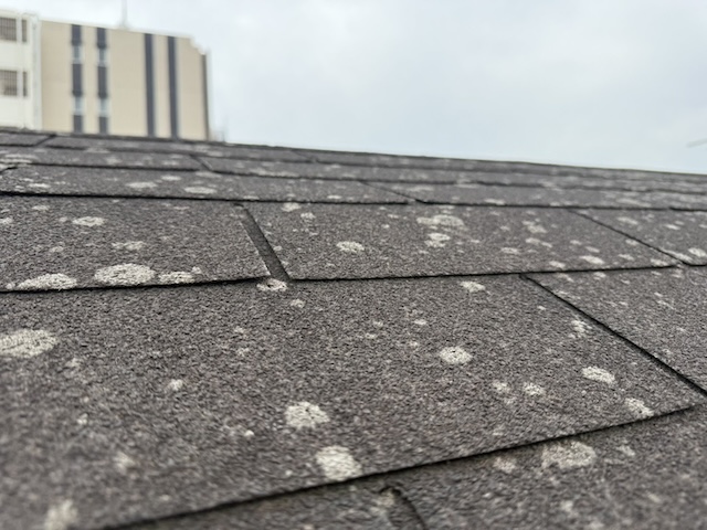 マンション斜壁のアスファルトシングルの劣化状況（剥がれ・粒状脱落のアップ）