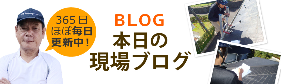 城陽市、宇治市、京田辺市やその周辺エリア、その他地域のブログ