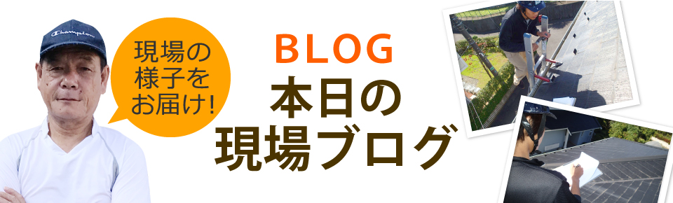 城陽市、宇治市、京田辺市やその周辺エリア、その他地域のブログ