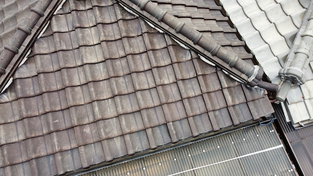雨漏り箇所の屋根部分