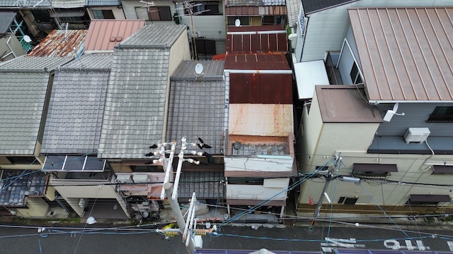 ドローンによる空撮状況