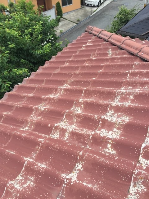 剥離が広がる屋根面
