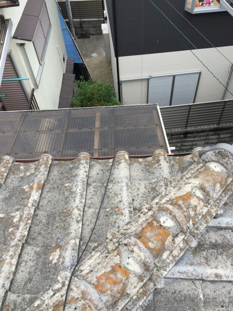 棟瓦の変色と汚れ