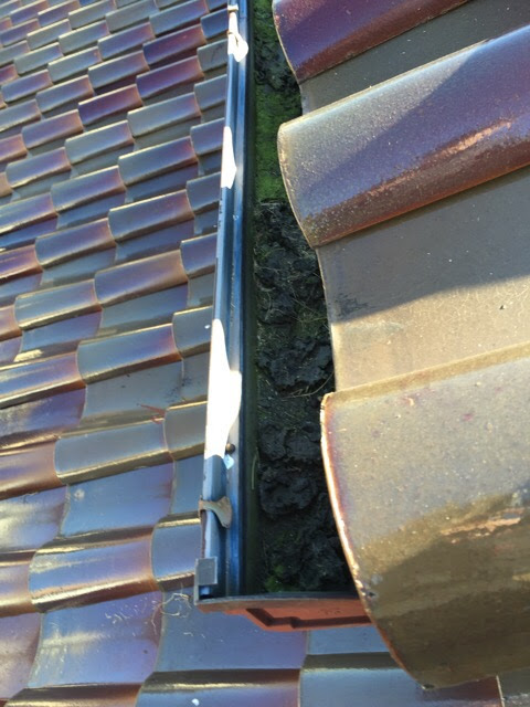 部分的な修理（谷板金交換）をご提案する対象箇所