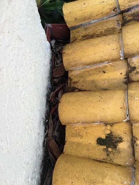 精華町の瓦と外壁の隙間に落ち葉詰まり｜清掃と板金点検で雨漏り予防