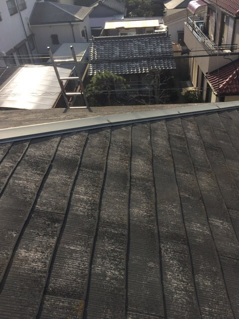 【京都市伏見区】屋根の変色をカバー工法で解決！将来の出費を大幅削減