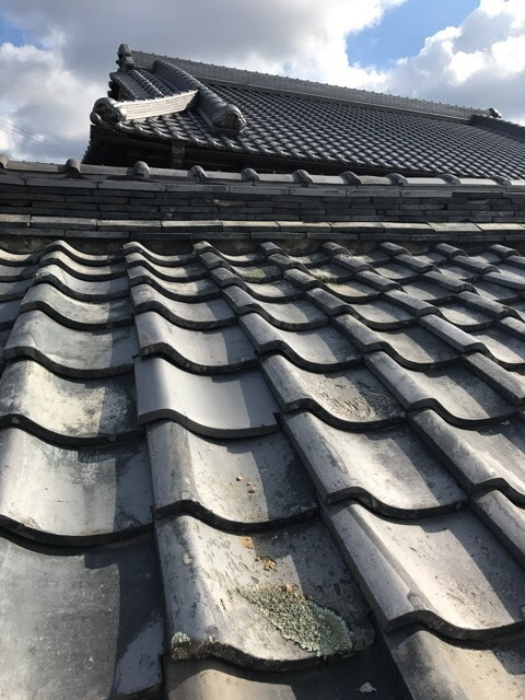 コケが付着した瓦