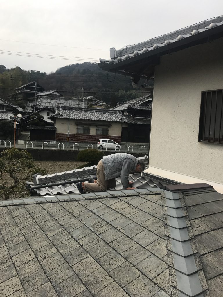 下屋の瓦屋根調査中