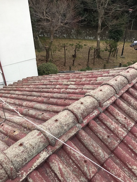 棟瓦と屋根面の変色