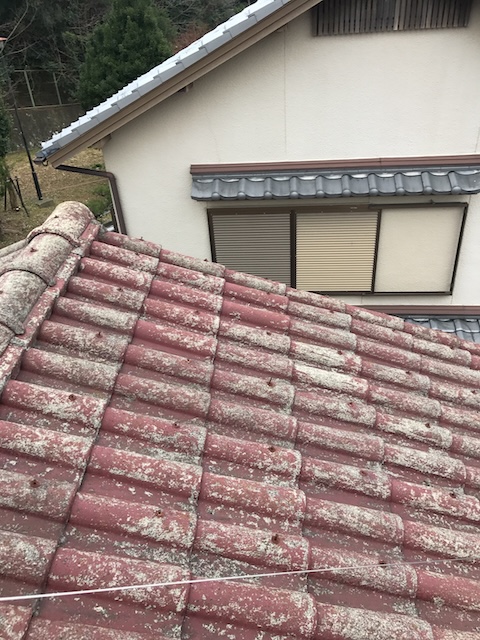 白く変色した赤い瓦