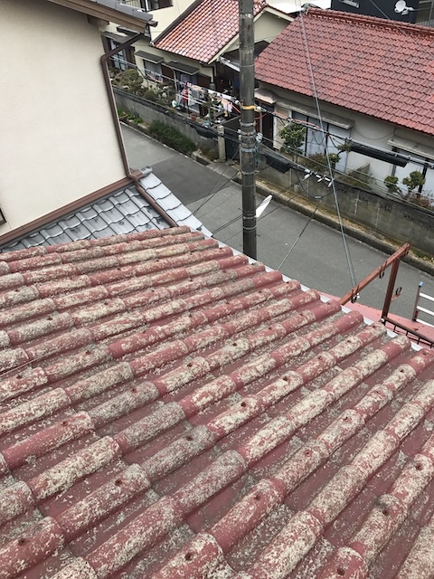 退色が広がる屋根面