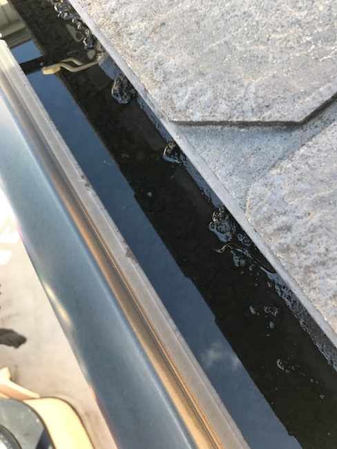 水面が続く軒樋内部