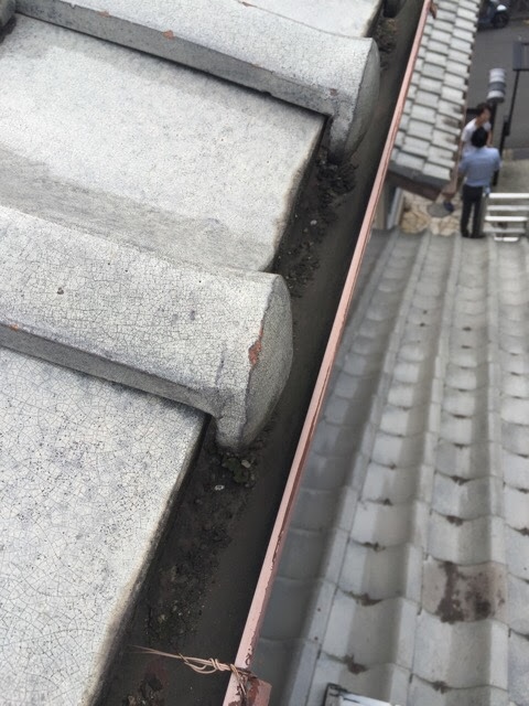 瓦際の雨樋に詰まり