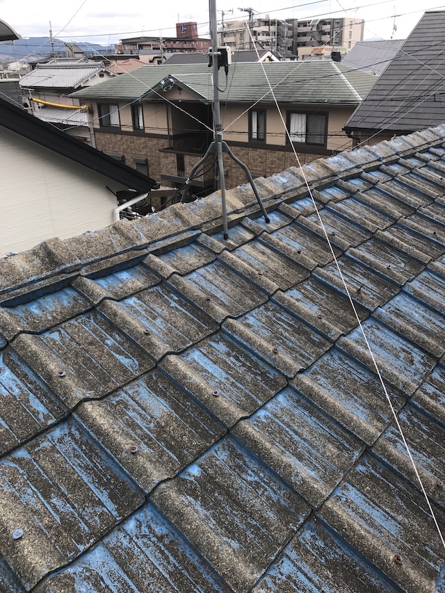 棟まわりが見える瓦屋根
