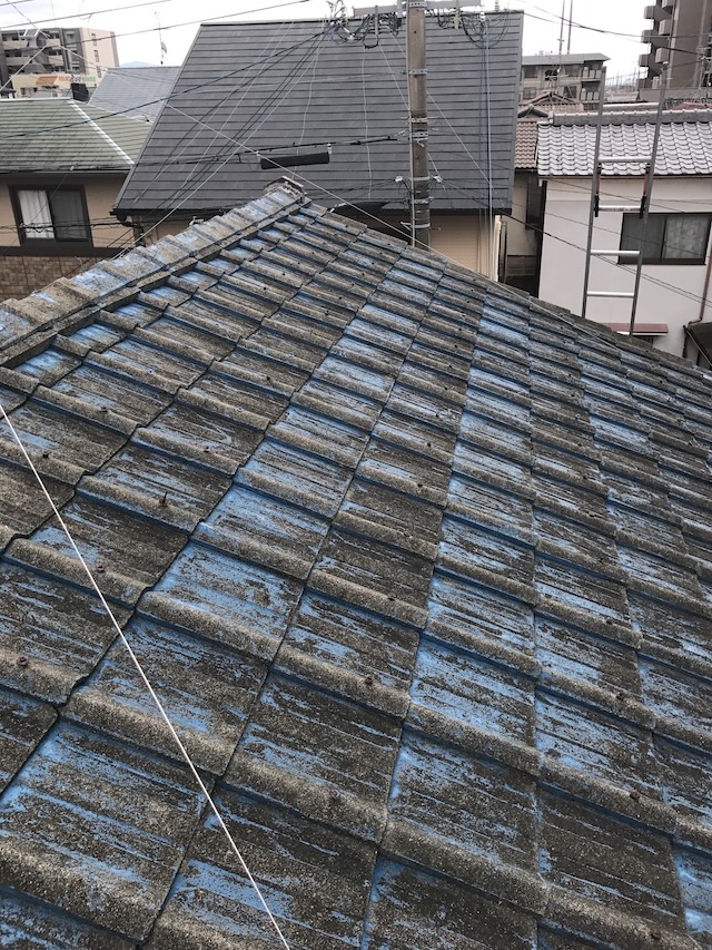 全体劣化が分かる屋根面