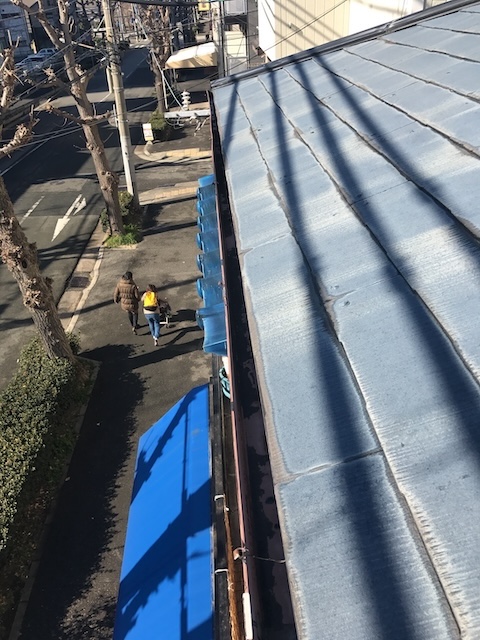 屋根全体の白化状況