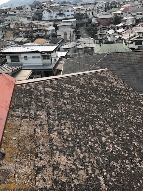 まだらな付着物のある屋根