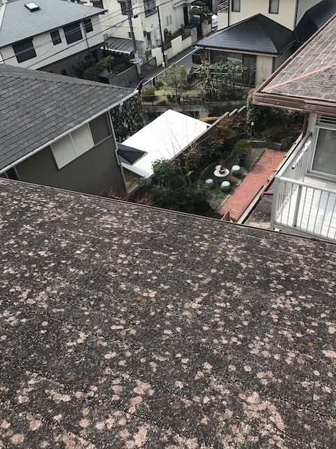 斑点状の変色が広がる屋根