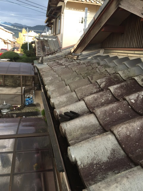 長岡京市で確認されたセメント瓦の激しいコケと塗膜の剥がれ