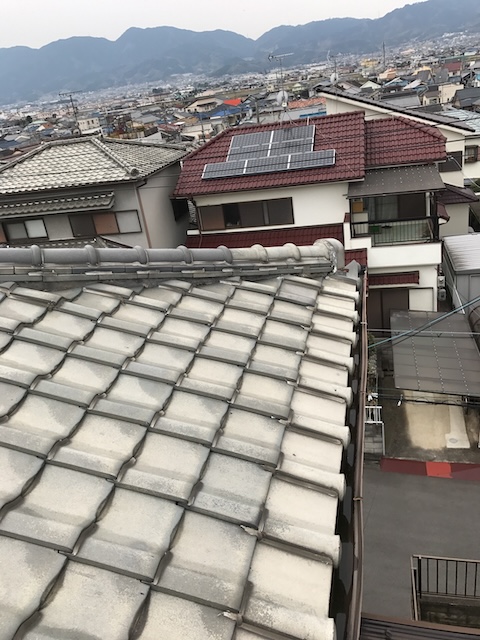 棟瓦と屋根面の全景