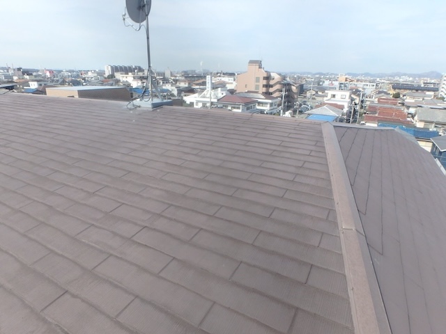 屋根全体と棟の状況